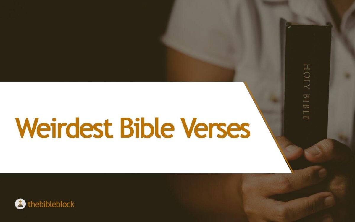 23 Weirdest Bible Verses With In depth Explanation Thebibleblock 23 Weirdest Bible Verses With In depth Explanation Thebibleblock